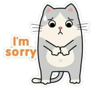 😥 752691a5 I'm sorry 猫, ごめん, 謝罪, 可愛い, アニメ telegram sticker