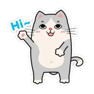 ✋ cd248caa Hi~ 猫, 動物, こんにちは, 挨拶, 手を振る telegram sticker