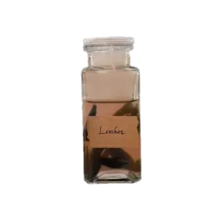 🥃 ad5882fa Leeches lintah, toples, medis, spesimen, hewan, sains, kedokteran whatsapp sticker