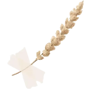 горячий шоколад и звёзды🌟 by @fStikBot telegram stickers