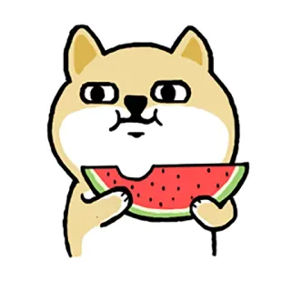 🍉 a1e8a0f9 собака, арбуз, милый, животное, мультфильм, еда whatsapp sticker
