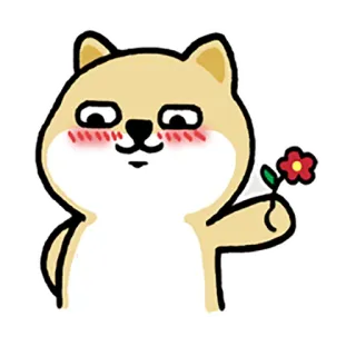 🌷 e24612f7 собака, милый, цветок, каваи, сиба ину, мультфильм whatsapp sticker