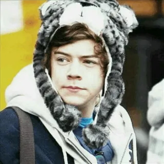 🍩 09c76f60 Harry Styles persona, celebridad, sombrero, invierno, estilo, moda telegram sticker