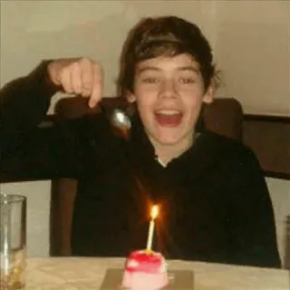 🍩 5caafb5a Harry Styles persona, cantante, celebridad, cumpleaños, vela, pastel, cuchara telegram sticker