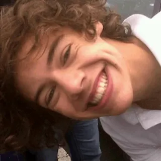 🍩 8af8a239 Harry Styles persona, celebridad, cantante, Harry Styles, hombre, retrato telegram sticker