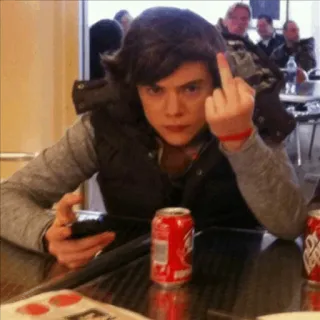 🍩 c55663bb Harry Styles dedo corazón, gesto ofensivo, celebridad, cantante, estrella pop, Harry Styles telegram sticker