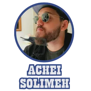 😐 b07098c5 ACHEI
SOLIMEH persona, uomo, occhiali da sole, barba, ritratto telegram sticker