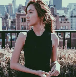 🗽 f9f48185 Frau, Stadt, Dach, Person, Draußen, Städtisch whatsapp sticker