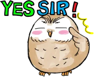 Owlet @stickersb2b whatsapp stickers