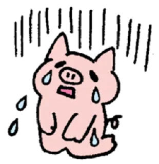😭 2a6da855 maiale, piangendo, triste, lacrime, cartone animato, animale telegram sticker