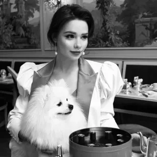 𝐋𝐈𝐓𝐓𝐋𝐄𝐒1anniversary♡ whatsapp stickers