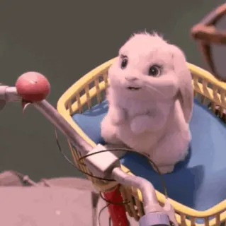 💭 357e91b4 bunny, rabbit, animal, cute, bicycle, basket telegram sticker