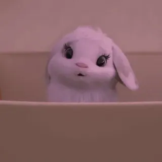 🍥 6f04f1ee bunny, animal, cute, adorable, fluffy, rabbit, domestic animal telegram sticker