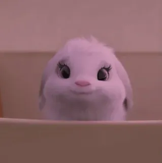 💭 8b69c29f bunny, cute, fluffy, animal, pet telegram sticker
