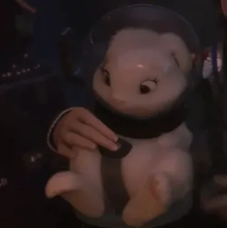 💭 9b16c125 bunny, rabbit, space, toy, animal telegram sticker