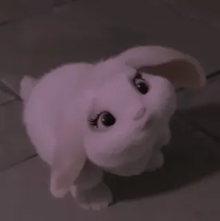 💭 ac1d0a5d bunny, rabbit, cute, animal, fluffy telegram sticker