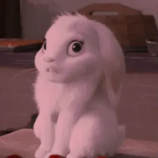 💭 b33b6744 bunny, cute, animal, rabbit, white bunny telegram sticker