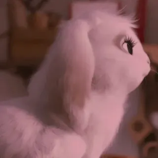 🍥 cc8ffbdb bunny, rabbit, animal, cute, white, furry telegram sticker