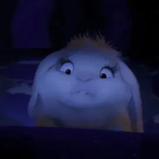 🍥 cf0ee594 telegram sticker