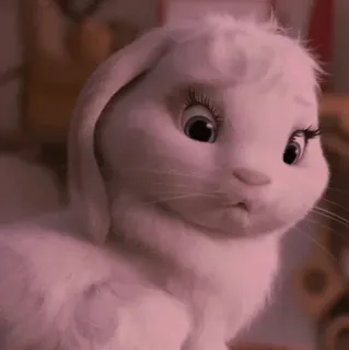 🍥 e125cd7f bunny, rabbit, animal, cute, adorable telegram sticker