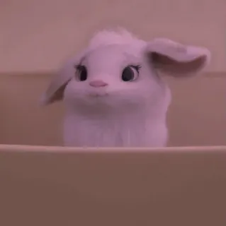 💭 f1421649 cute, bunny, animal, fluffy, white, small telegram sticker