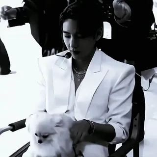 🇶🇦 f1adf4a7 người, chó, áo vest trắng, ngồi, trong nhà, chân dung telegram sticker