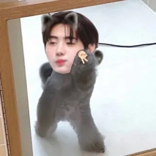 🧁 6473b58b kucing, manusia, lucu, binatang telegram sticker