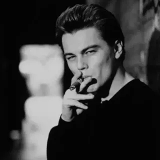⛓ 79f6afd1 Leonardo DiCaprio นักแสดง, คนดัง, ซิการ์, สูบบุหรี่, ผู้ชาย, ภาพเหมือน, ขาวดำ telegram sticker