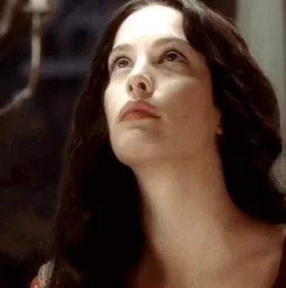 🍒 7118afdd telegram sticker