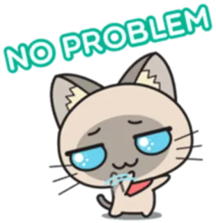 😏 0ec20354 NO PROBLEM kot, syjamski, słodki, zwierzę, kreskówka, naklejka, nie ma problemu telegram sticker