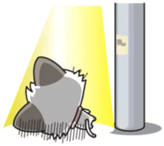 😰 27341b35 kot, smutny, kreskówka, zwierzę, zwierzę domowe, samotny, rozpacz, przygnębiony telegram sticker