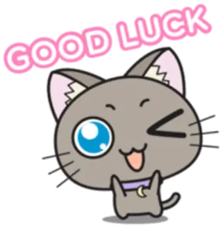🤞 8359663a GOOD LUCK kot, powodzenia, uroczy, zwierzę, naklejka, kreskówka telegram sticker