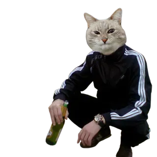 ⚒ 29754748 gato, animal, agachamento, vodka, álcool, russo, engraçado, meme telegram sticker