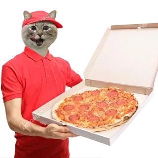 🍕 9c70ac48 gato, pizza, entrega, comida, animal, humor telegram sticker