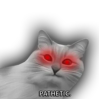 😶 cb5456fa PATHETIC. gato, patético, meme, animal, engraçado telegram sticker