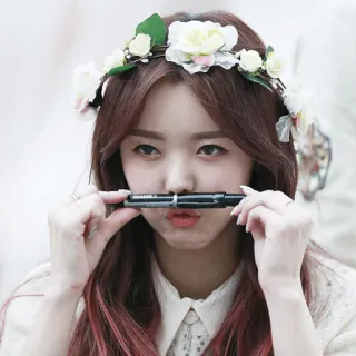 🍥 68396ff7 mulher, coroa de flores, beleza, pessoa, maquiagem whatsapp sticker