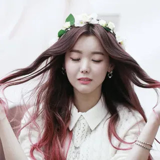 🍥 cf05c1e1 mulher, retrato, menina, coroa de flores, cabelo, beleza, pessoa, interior whatsapp sticker