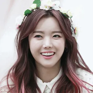 🌷 e1891814 mulher, coroa de flores, sorriso, retrato, cabelo, pessoa whatsapp sticker