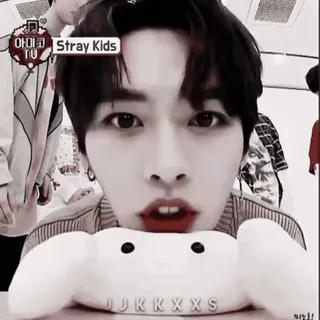 🍒 6b9d903f Stray Kids kpop, musik, unterhaltung, boyband, stray kids whatsapp sticker