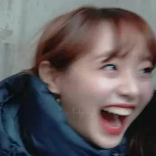 🐞 927c7988 whatsapp sticker