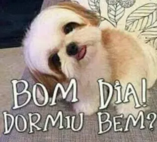 😄 5f22bbdb BOM DIA! DORMIU BEM? chien, bonjour, chiot, salut, mignon whatsapp sticker
