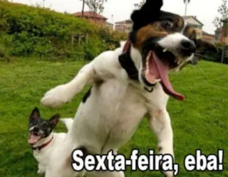 😁 75a8e851 Sexta-feira, eba! chien, vendredi, fête, joyeux, joie whatsapp sticker