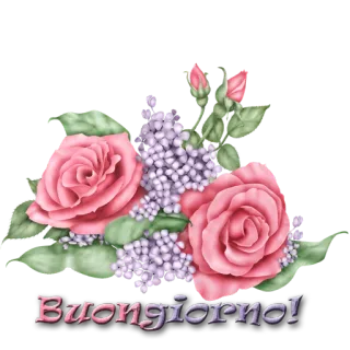 🌸 fef95b80 Buongiorn0! mawar, bunga, lilac, salam, berbunga, selamat pagi telegram sticker