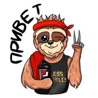 ✌️ 8350b02a ПРИВЕТ ленивец, привет, упражнение, фитнес, тренировка, красный, милый, животное whatsapp sticker