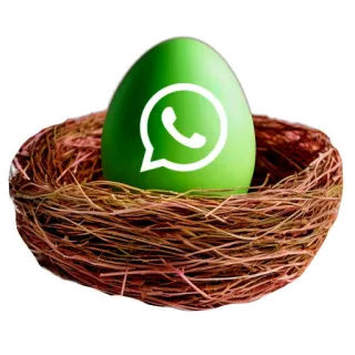 🍲 4b8737ac WhatsApp, 鸡蛋, 巢, 社交媒体, 通讯, 消息, 绿色 telegram sticker