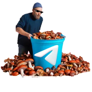 👥 4d4cdca9 男人, 蘑菇, 水桶, 电报, 太阳镜, 贴纸 telegram sticker