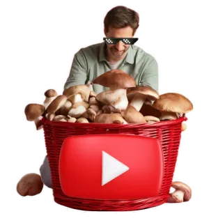 🍲 dbc39969 男人, 太阳镜, 蘑菇, 篮子, youtube, 网络迷因, 面对现实 telegram sticker