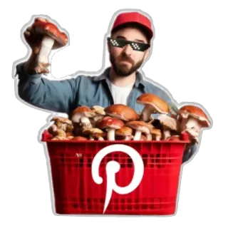 🖼 feabcec6 蘑菇, 篮子, 男人, 红色, pinterest, 真菌 telegram sticker