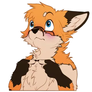 ☺️ 068ba25b 여우, 퍼리, 주황색, 만화, 귀여운 telegram sticker