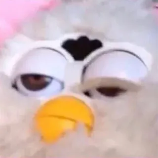 Забавные животные (@safthome) telegram stickers